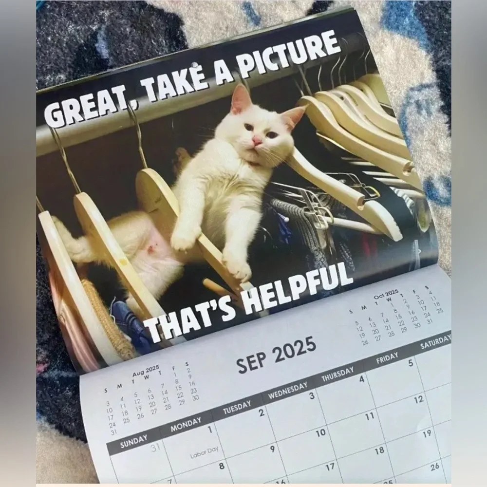 Pissed-Off Cats 2025 Calendar